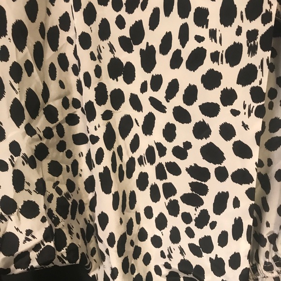 Akira Cheetah peplum top - Picture 5 of 5